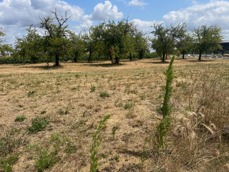 Terrain à bâtir à Lévignac-de-Guyenne (47120)