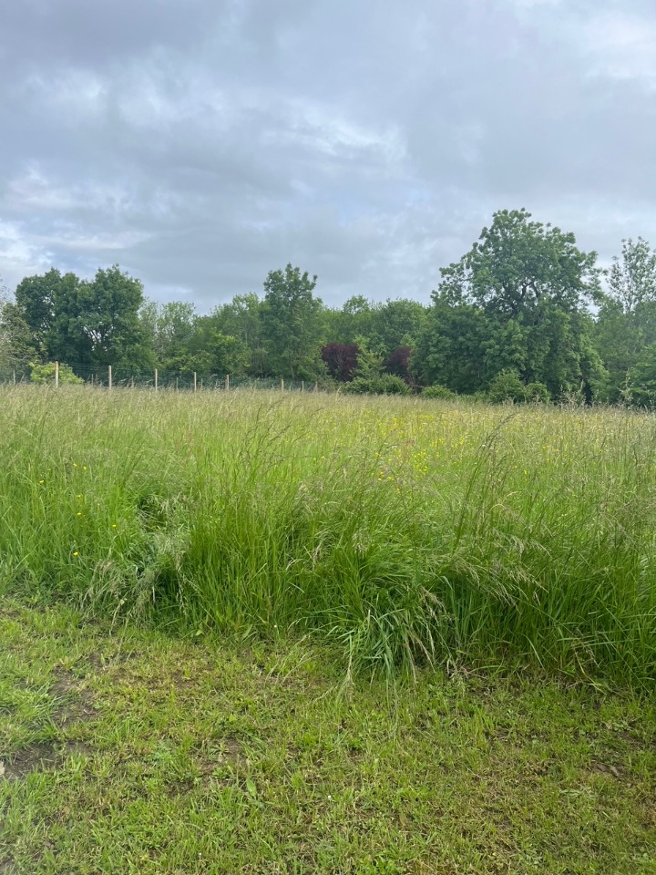 Terrain à bâtir à Campugnan (33390)