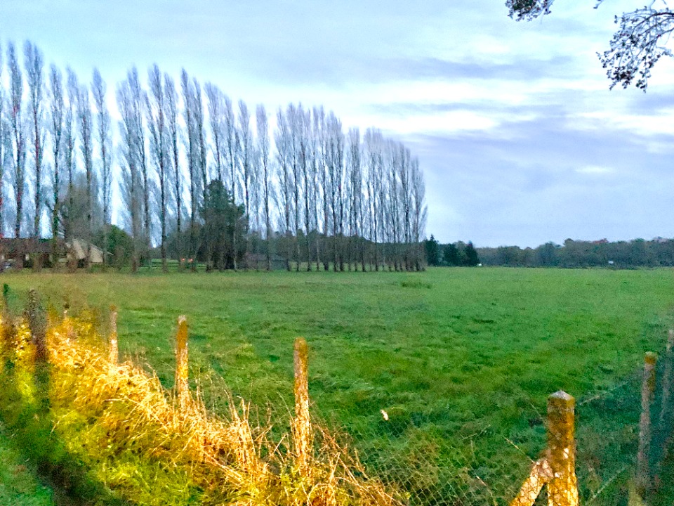 Terrain à bâtir à Saint-Savin (33920)