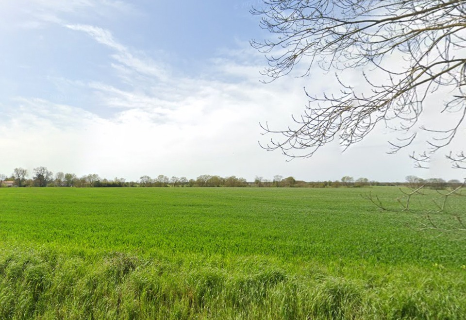 Terrain à bâtir à Saint-Georges-du-Bois (17700)