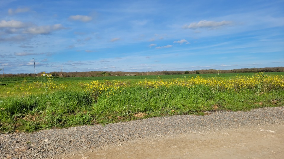 Terrain à bâtir à Bourgneuf (17220)