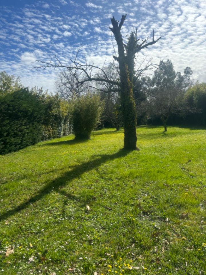 Terrain à bâtir à Génissac (33420)