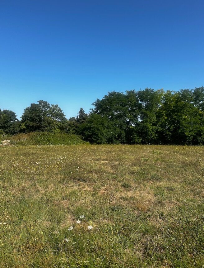 Terrain à bâtir à Abzac (33230)