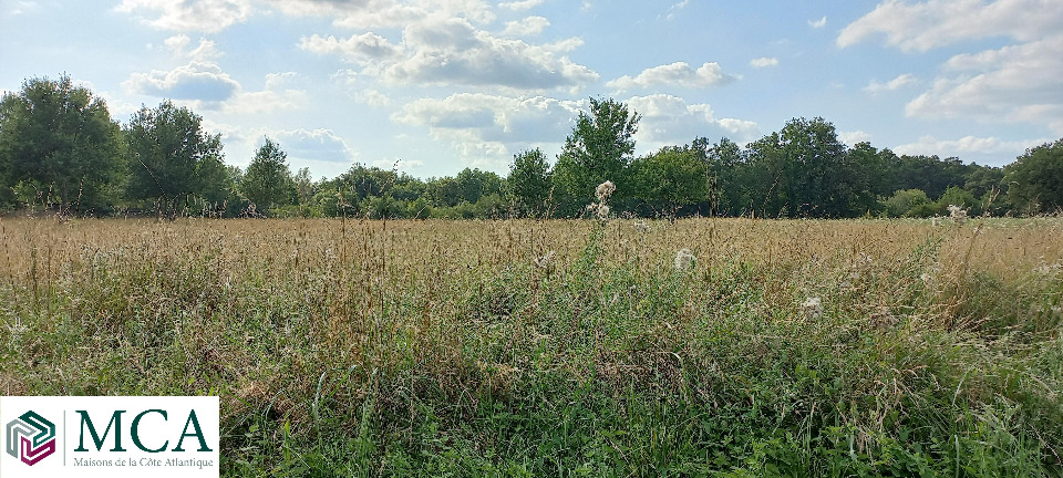 Terrain à bâtir à Saint-Martin-de-Gurson (24610)