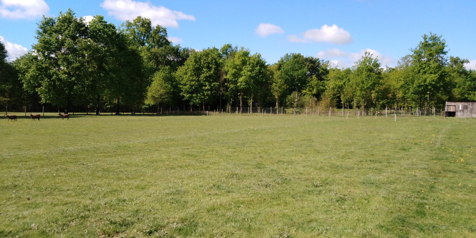 Terrain à bâtir à Beaupouyet (24400)