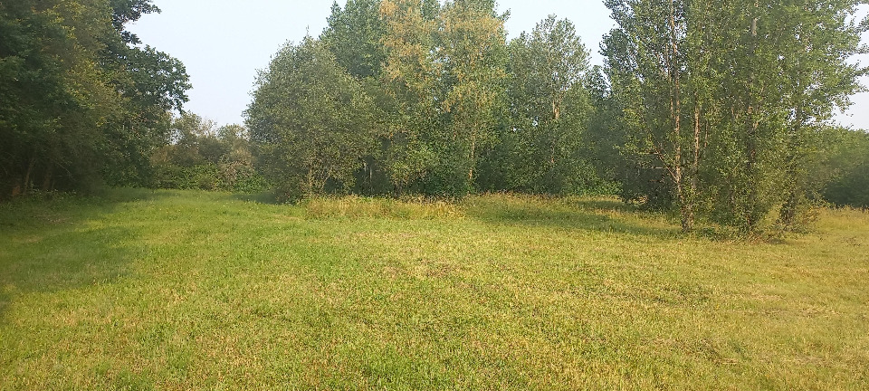 Terrain à bâtir à Ménesplet (24700)