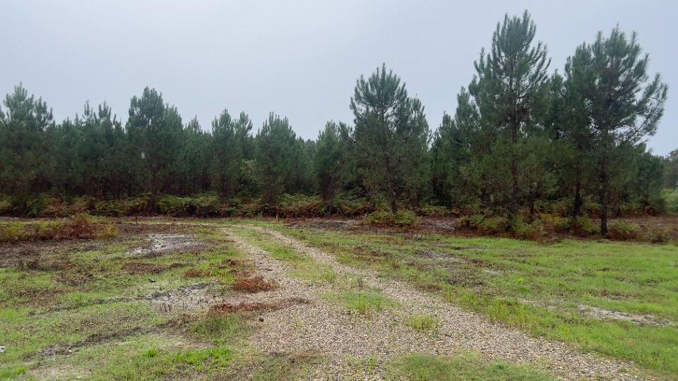 Terrain à bâtir à Landiras (33720)