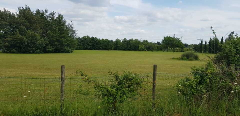 Terrain à bâtir à La Brède (33650)