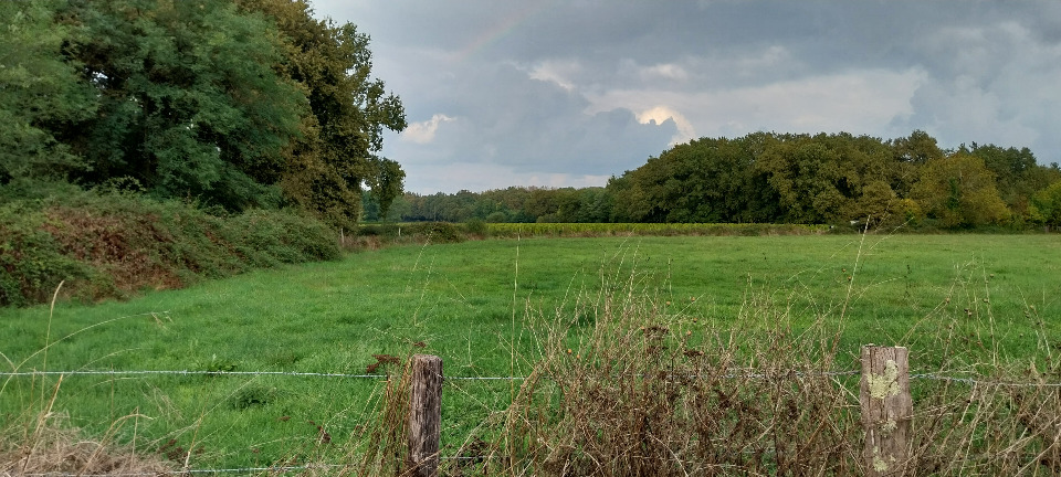 Terrain à bâtir à Montussan (33450)