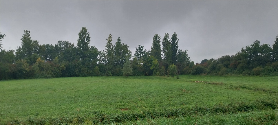 Maison à construire à Saint-Sulpice-et-Cameyrac (33450)