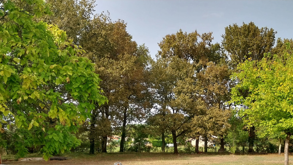 Terrain à bâtir à Créon (33670)