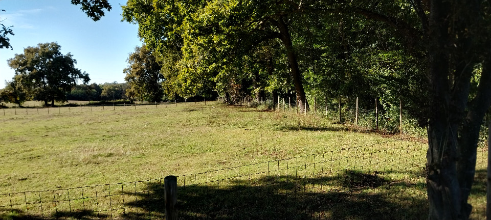 Terrain à bâtir à Saint-André-de-Cubzac (33240)