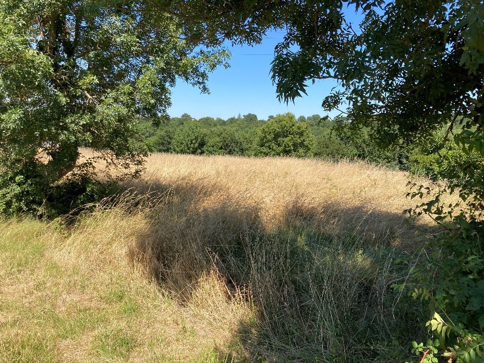 Terrain à bâtir à Fontcouverte (17100)