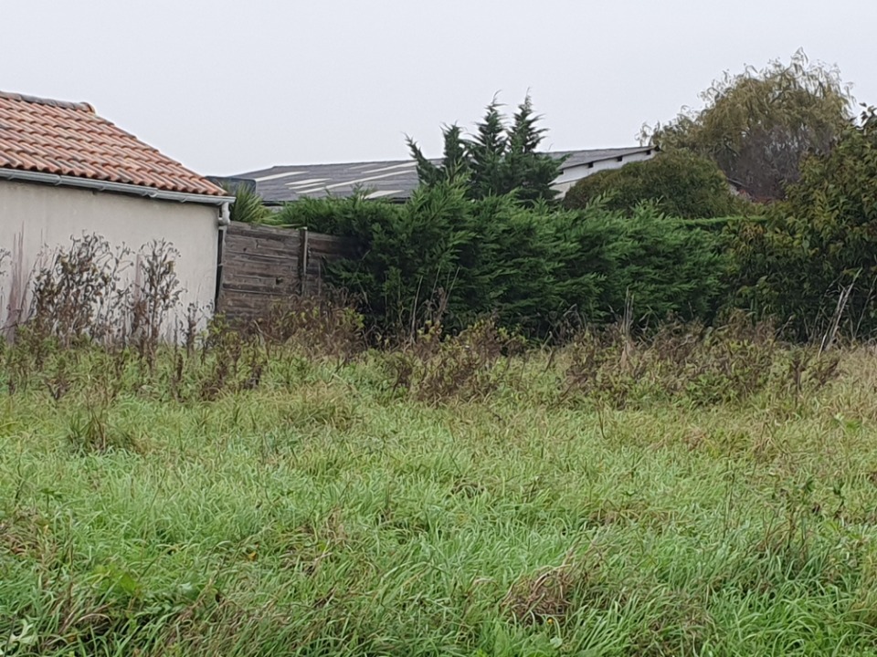 Maison à construire à Saint-André-de-Cubzac (33240)