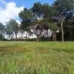 Terrain à bâtir à Saint-Aubin-de-Médoc (33160)