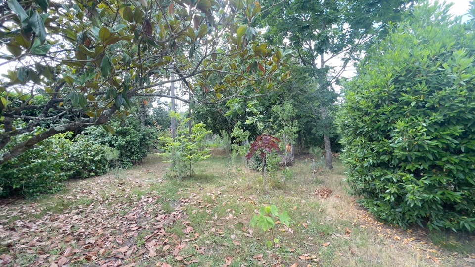 Terrain à bâtir à Parempuyre (33290)