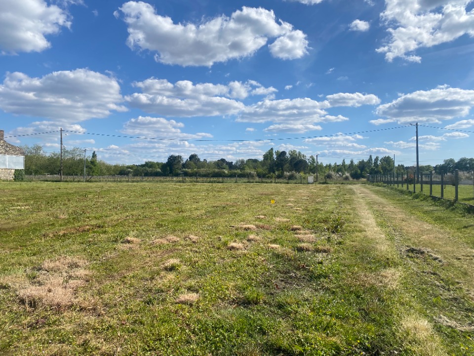 Terrain à bâtir à Lesparre-Médoc (33340)