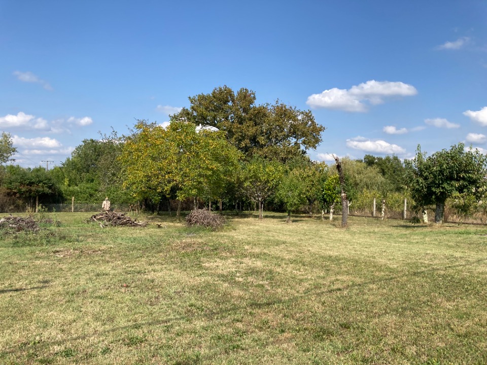 Terrain à bâtir à Berson (33390)