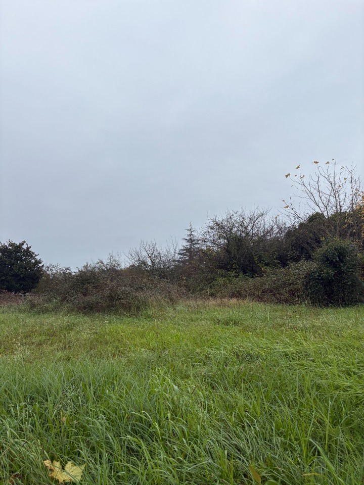 Terrain à bâtir à Fargues (33210)