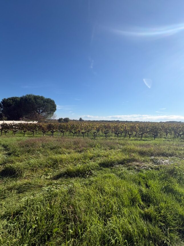 Terrain à bâtir à Arbanats (33640)