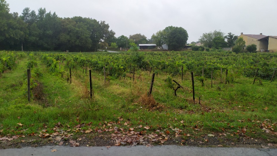 Terrain à bâtir à Castres-Gironde (33640)