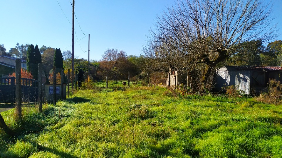 Terrain à bâtir à Illats (33720)