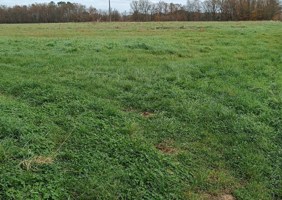 Terrain à bâtir à Cubzac-les-Ponts (33240)