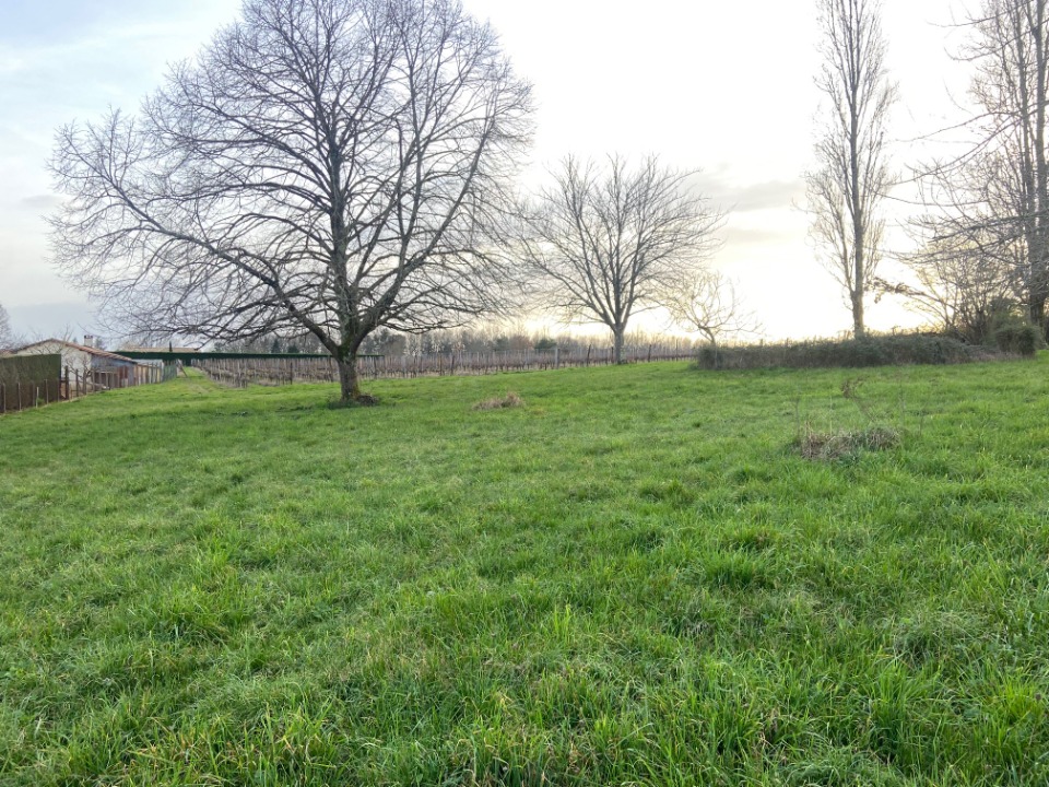 Terrain à bâtir à Saint-Sauveur (24520)