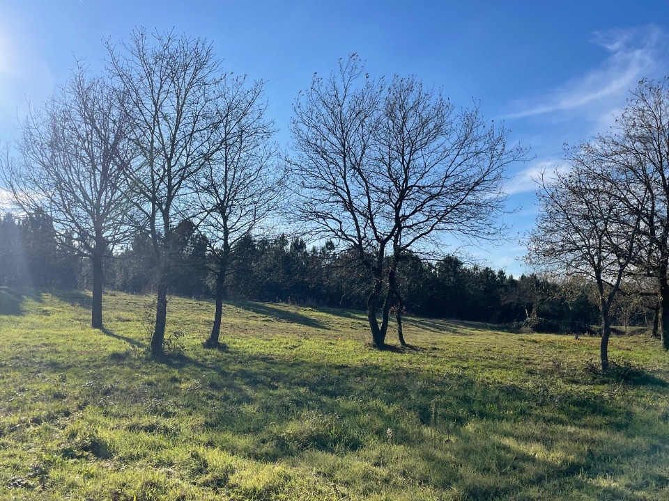 Terrain à bâtir à Labouheyre (40210)