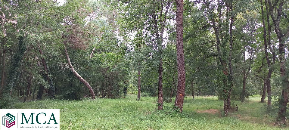 Terrain à bâtir à Ménesplet (24700)