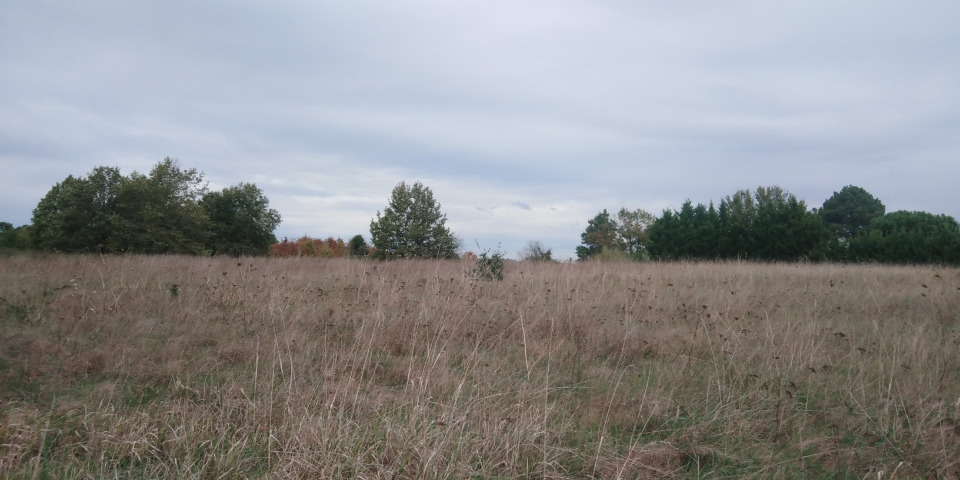 Terrain à bâtir à Saint-Rémy (24700)