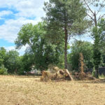 Terrain à bâtir à Ménesplet (24700)