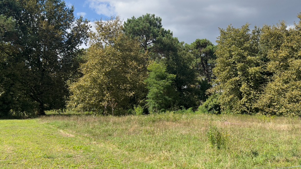 Terrain à bâtir à Bruges (33520)