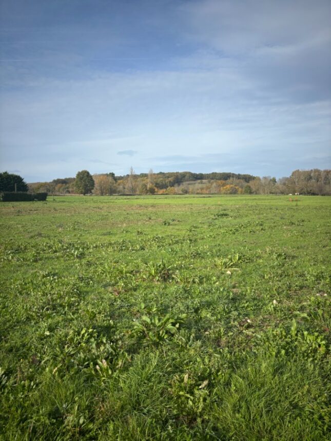 Terrain à bâtir à Sigoulès-et-Flaugeac (24240)