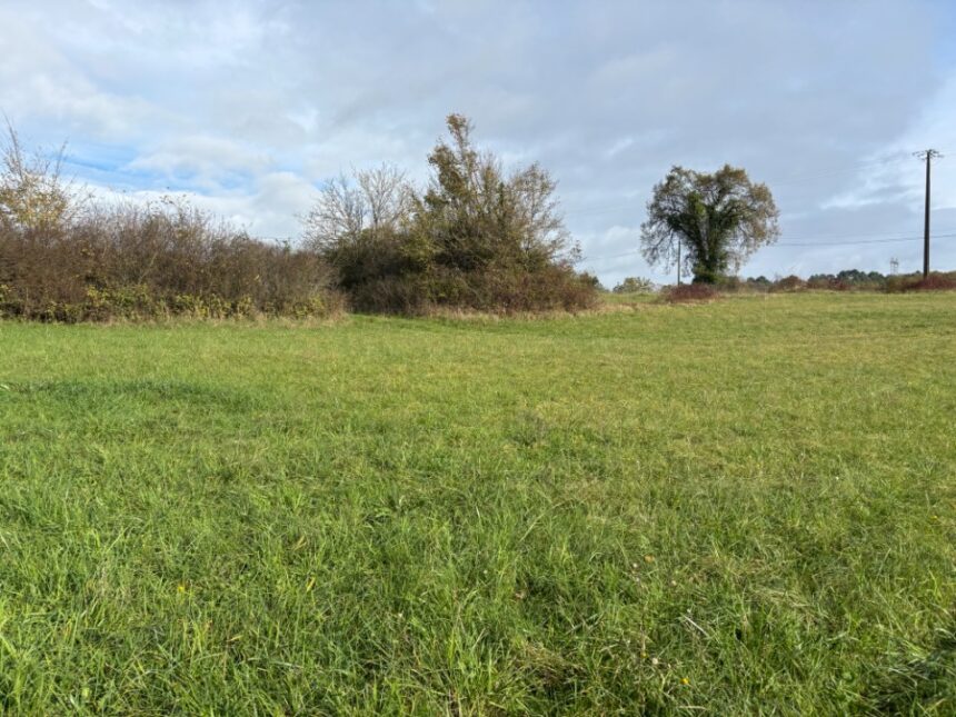 Terrain à bâtir à Montagnac-la-Crempse (24140)