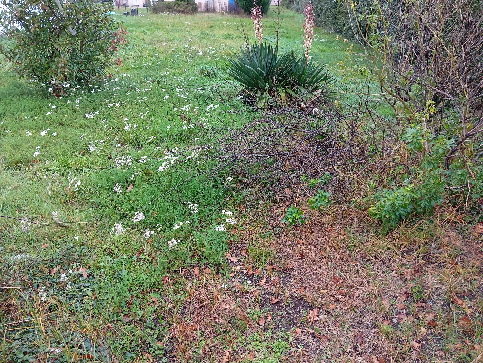 Terrain à bâtir à Le Teich (33470)