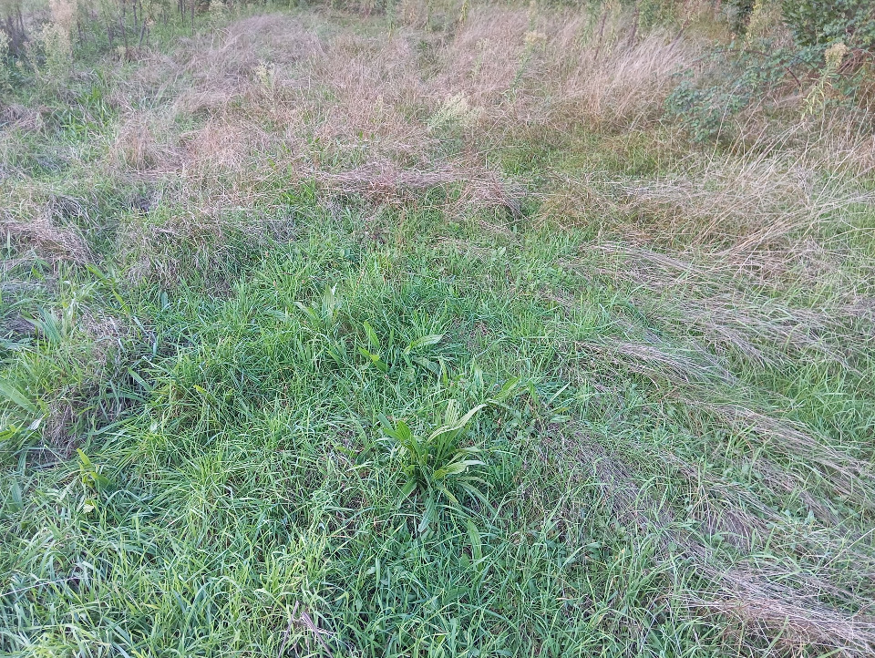 Terrain à bâtir à Le Barp (33114)