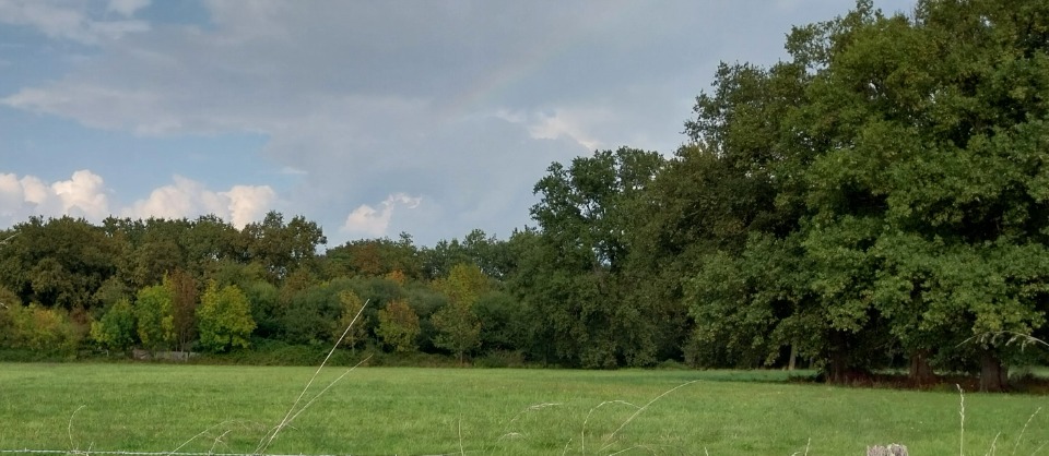 Terrain à bâtir à Targon (33760)