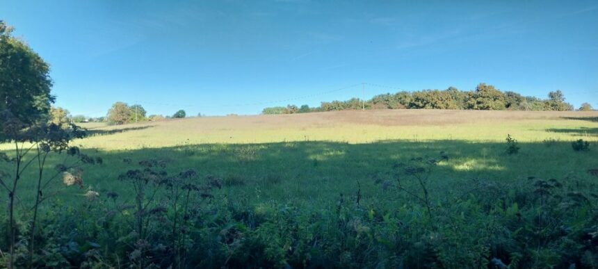 Terrain à bâtir à Branne (33420)