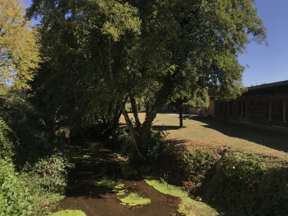 Terrain à bâtir à Castelnau-de-Médoc (33480)