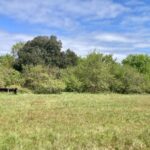 Terrain à bâtir à Artigues-près-Bordeaux (33370)