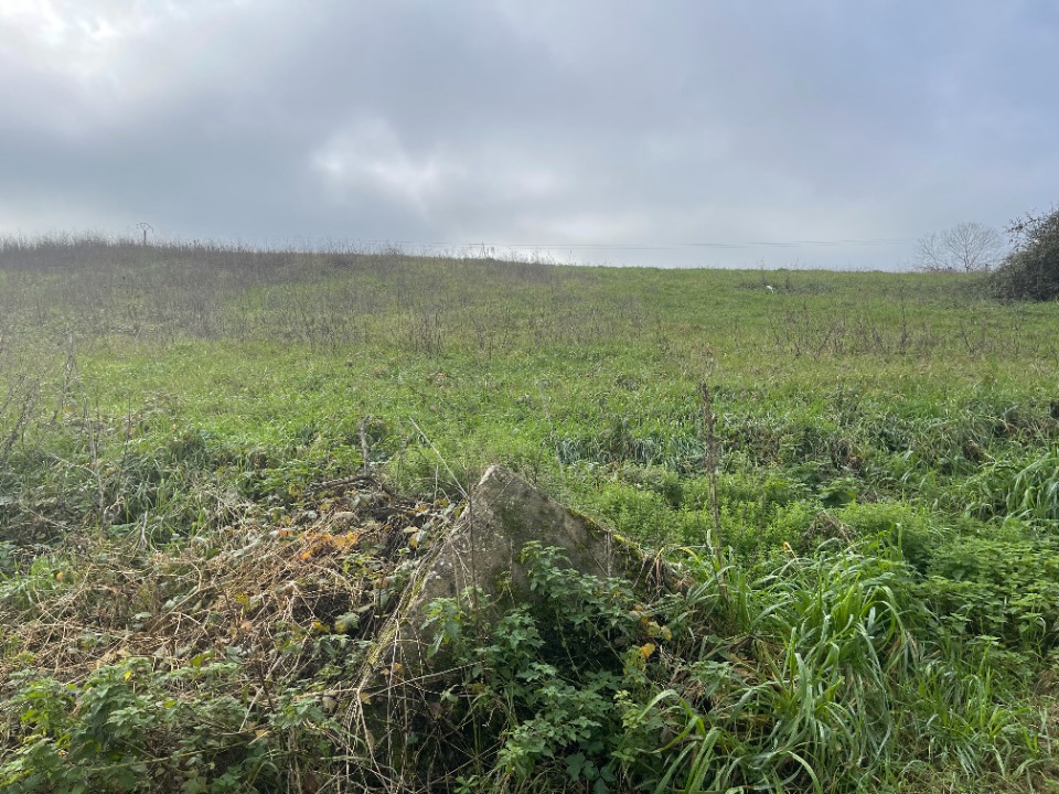 Terrain à bâtir à Sauveterre-de-Guyenne (33540)