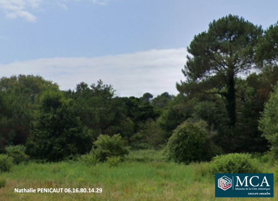 Terrain à bâtir à Messanges (40660)