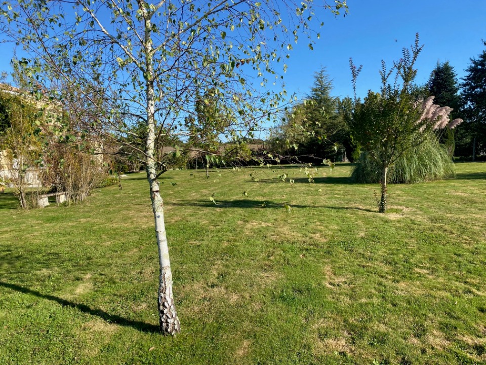 Terrain à bâtir à Tizac-de-Curton (33420)