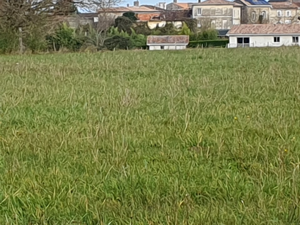 Terrain à bâtir à Laruscade (33620)